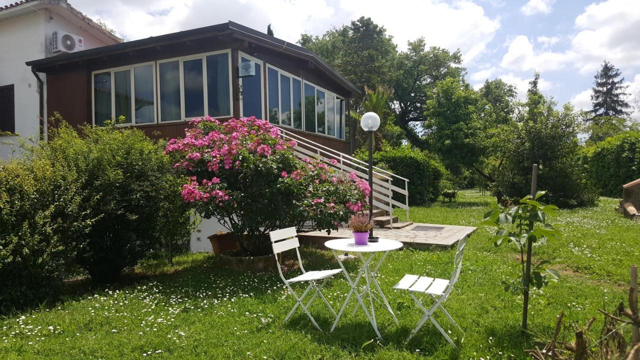 B&B Le Cinque Querce Viterbo Eksteriør bilde