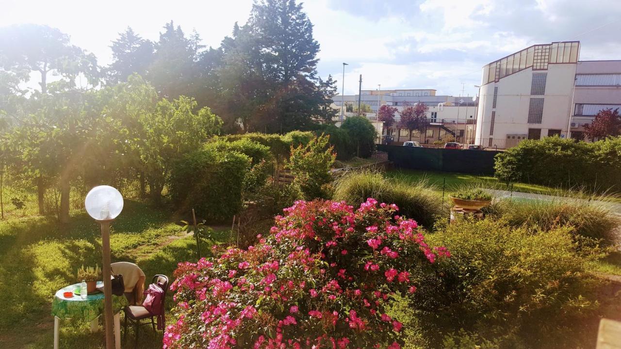 B&B Le Cinque Querce Viterbo Eksteriør bilde